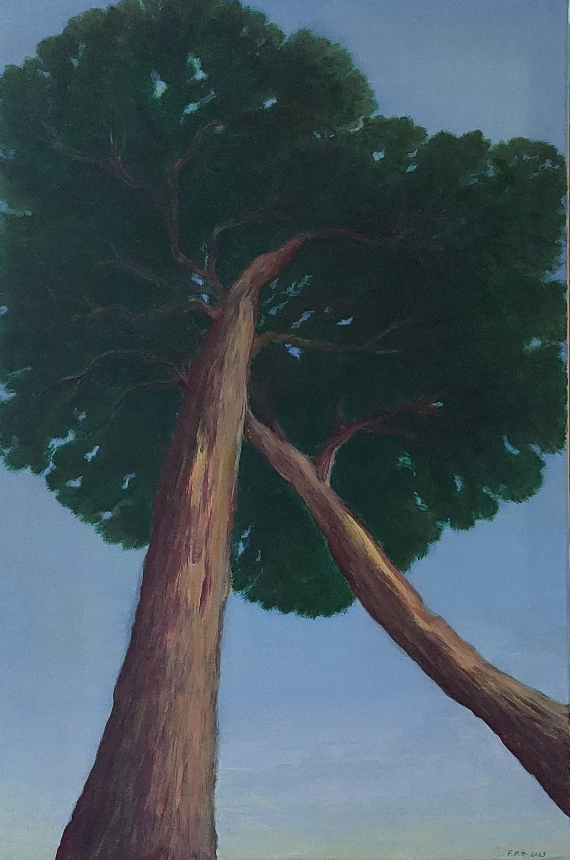 60x40 (2023)
