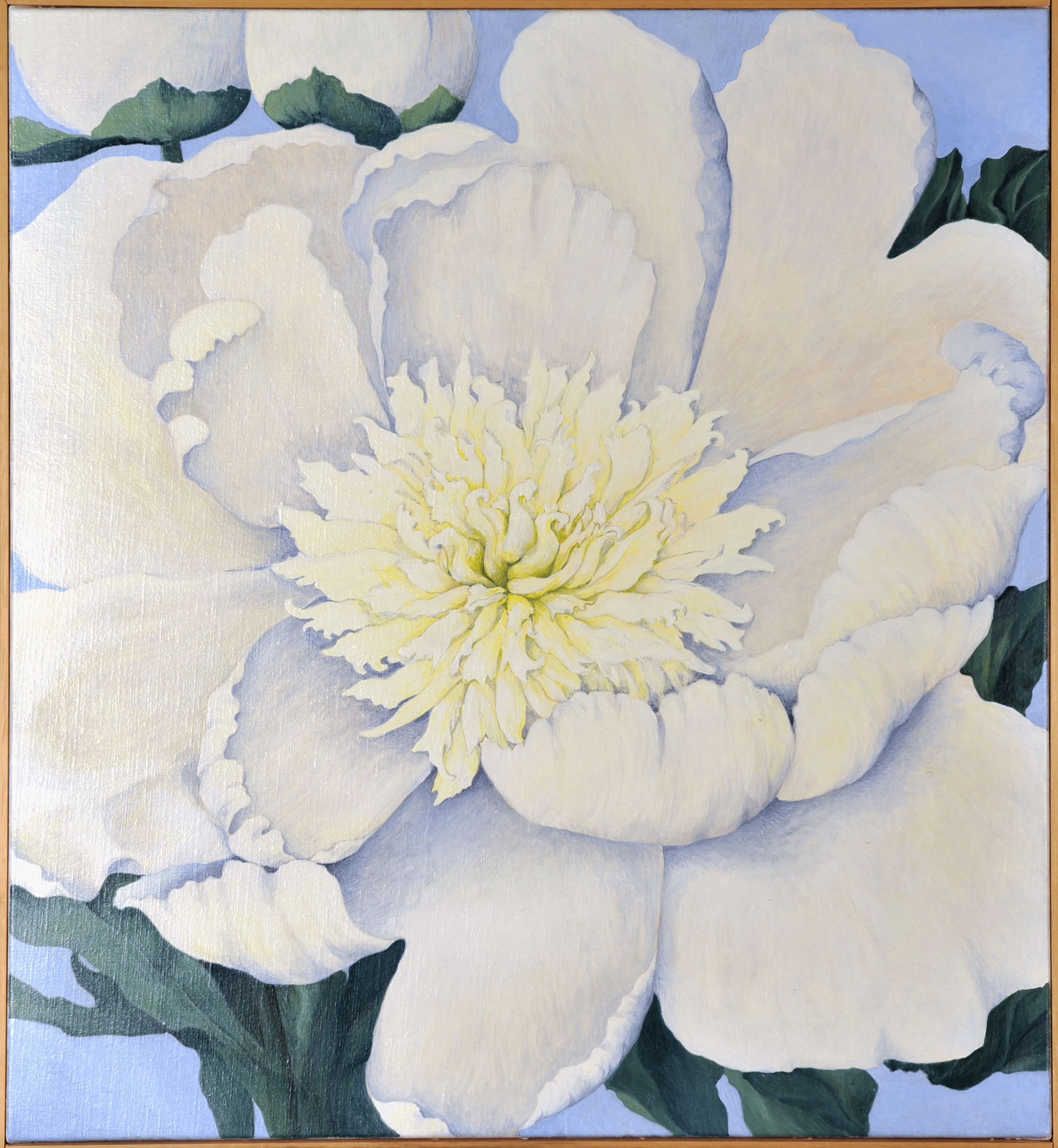 65x60 (2010)