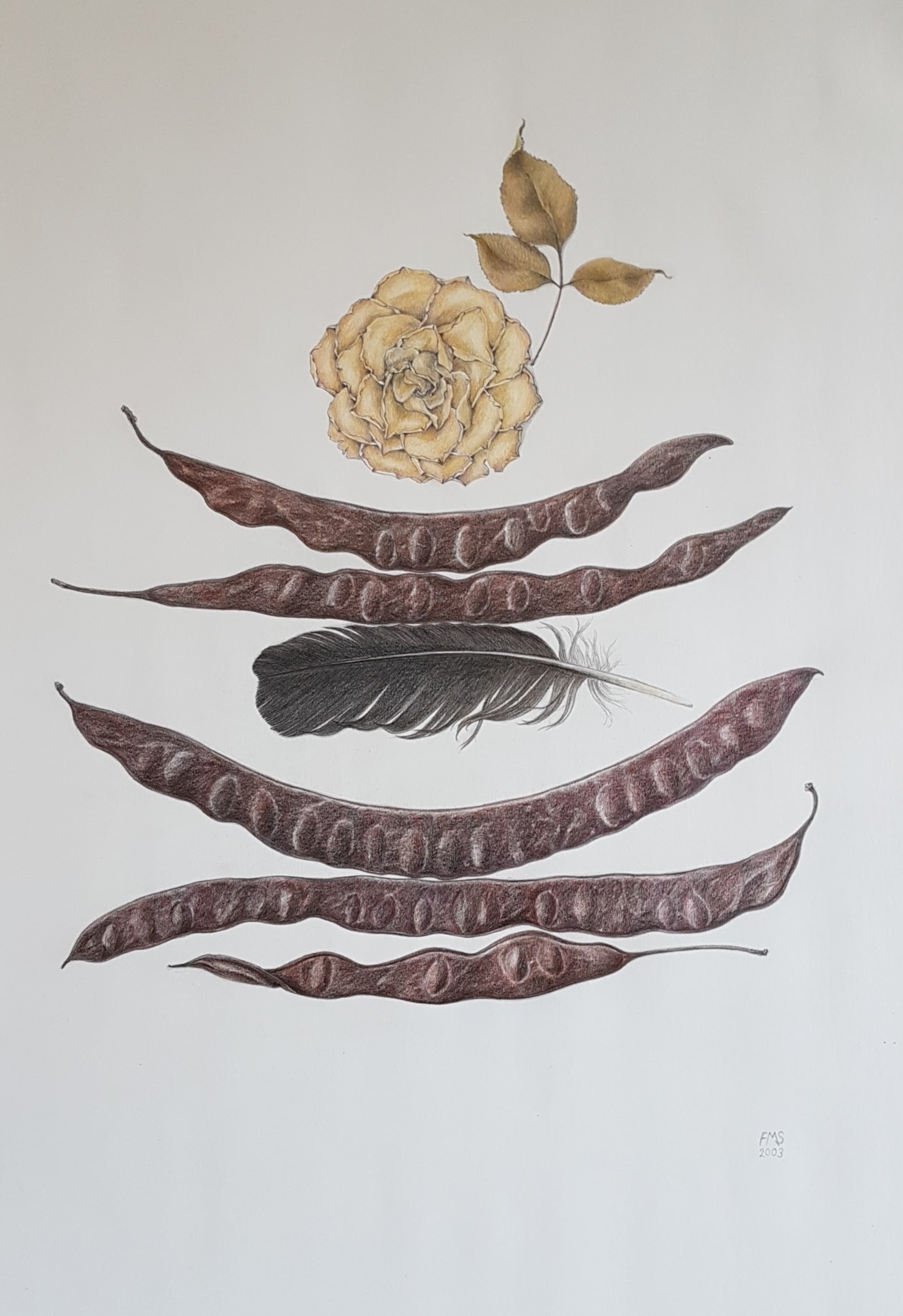 58x42  (2003)